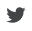 Twitter icon