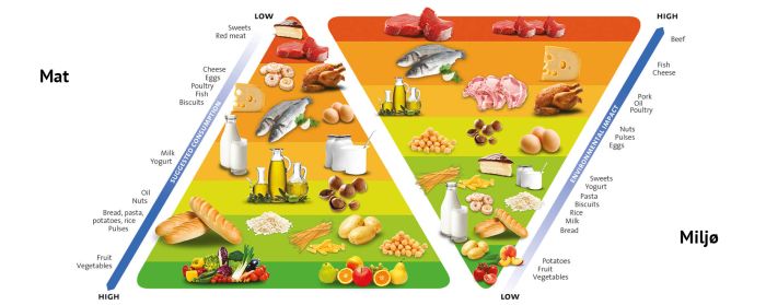 barilla-dbl-matpyramide